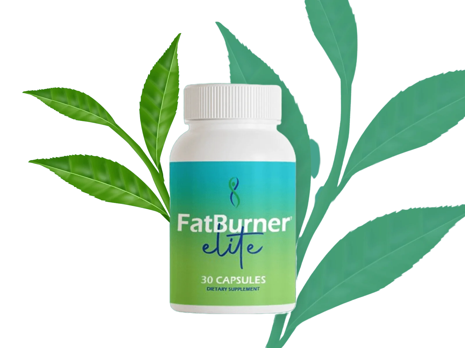 FatBurner Elite